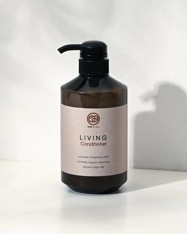 Living-Conditioner-image.png